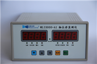 MLI3000-A1轴位移监测仪